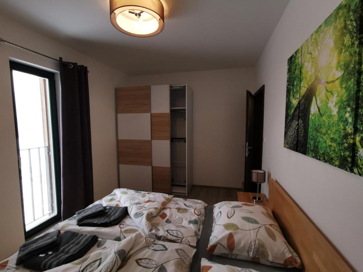 Apartman 5 Klinovec Apartment Loucna pod Klinovcem Ngoại thất bức ảnh