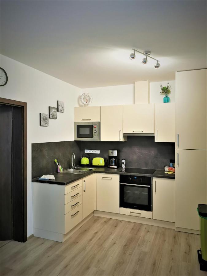 Apartman 5 Klinovec Apartment Loucna pod Klinovcem Ngoại thất bức ảnh